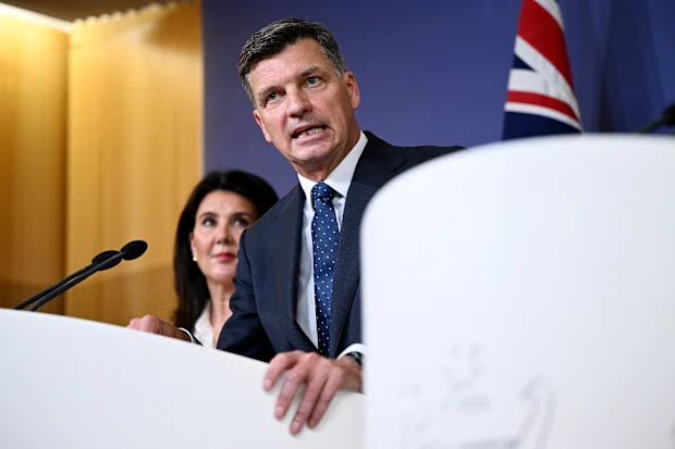 Angus Taylor, Parliament